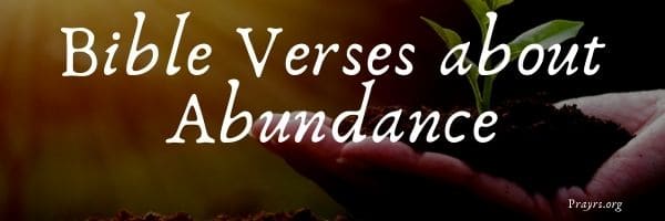 Bible Verses about Abundance