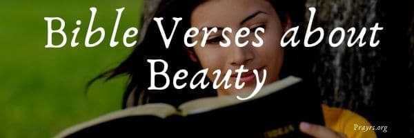Bible Verses about Beauty