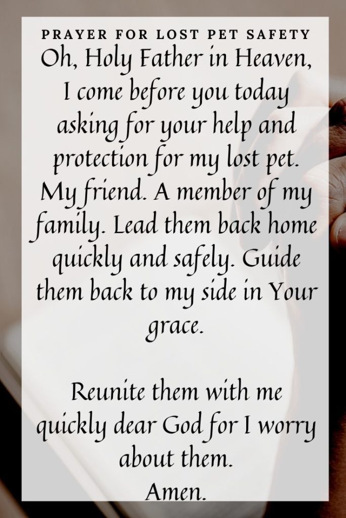 Prayer For Lost Pet Safety
