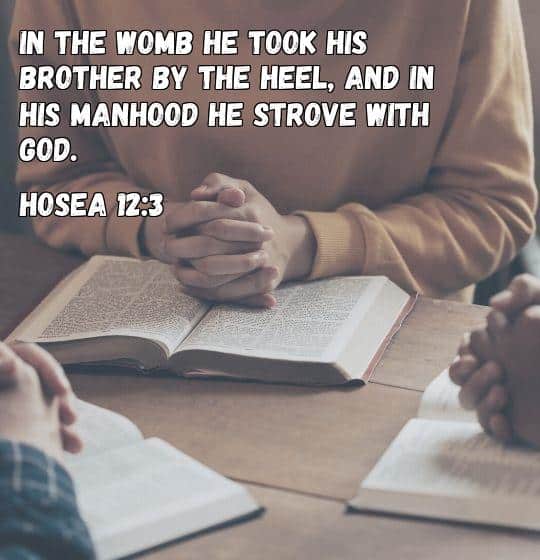 abortion bible verse