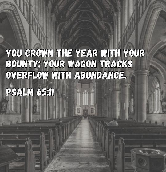 bible verse about abundance