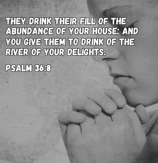 bible verse for abundance