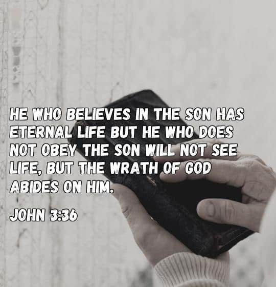 bible vereses for everlasting life