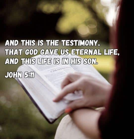 bible verse about everlasting life