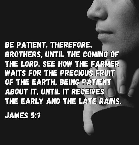 patience bible verse
