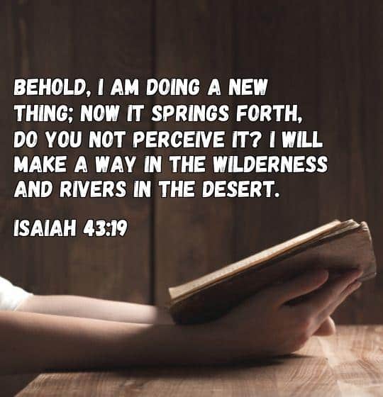 new beginnings bible verse