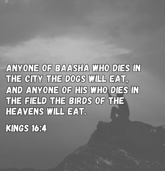 a dog in heaven bible verse